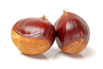 Chestnut on a white background.