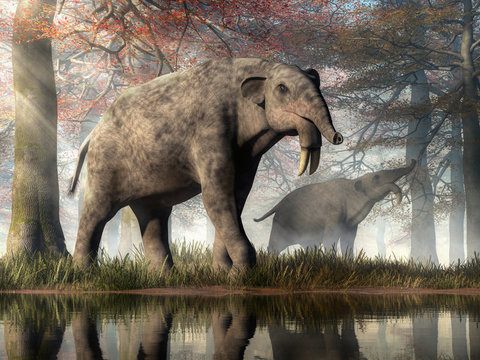 Prehistoric Large Known Elephant Jurassic Dinosaur Deinotherium