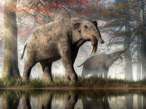 The hoe tusker, or Deinotherium (terrible beast),was a prehistoric  relative of Elephants with strange downward-curving tusks from its lower  jaws Stock Photo - Alamy