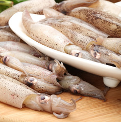 Freshly caught squid , food background.