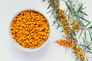 Bowl of sea buckthorn berries wtin a plant branch