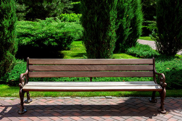 brown wooden bench with iron legs on the footpath made of red tiles in the background green spaces well maintained garden with thuja bushes and green lawn on a sunny summer day.