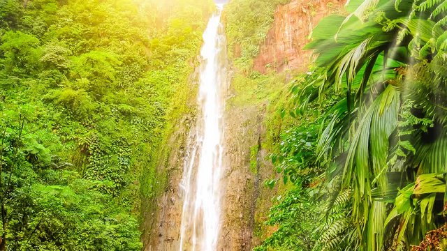 Carbet Falls or Les Chutes du Carbet at sunset, one of three waterfalls in tropical rainforest on Carbet River, Guadeloupe island, French Caribbean. The falls are one of the most popular visitor sites