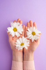 Flat lay.Gentle female hands with white delicate flowers.art photo, top view, vertical photo