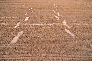 Shoeprints on the sand in a raked beach.
