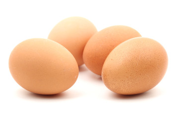 eggs on white background