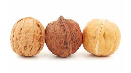 Walnut on a white background