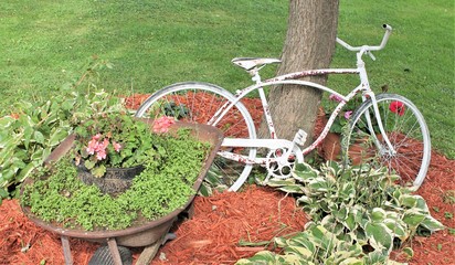 Fototapeta na wymiar Bicycle garden