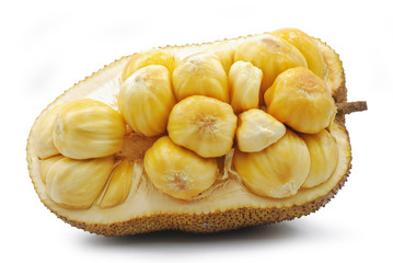 Jackfruit isolated on white background 