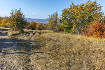 Fototapeta premium Autumn view of Cherna Gora (Monte Negro) mountain, Bulgaria