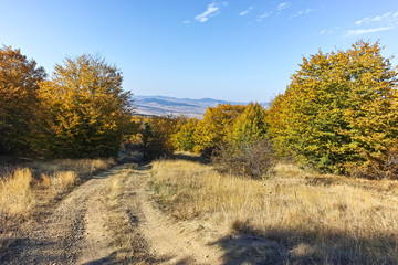 Autumn view of Cherna Gora (Monte Negro) mountain, Bulgaria