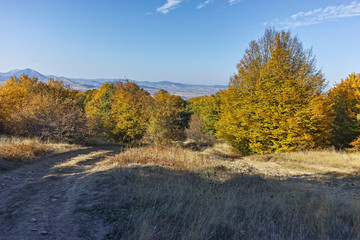 Fototapeta premium Autumn view of Cherna Gora (Monte Negro) mountain, Bulgaria