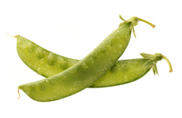 Snow pea isolated on white background.