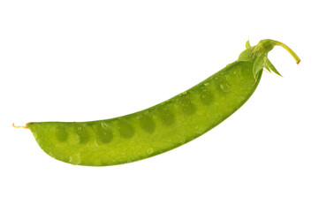 Snow pea isolated on white background.
