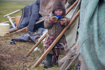 A resident of the tundra, The extreme north, Yamal, the pasture of Nenets people, children on vacation playing near reindeer pasture