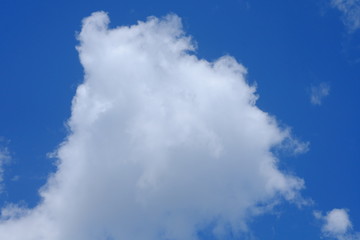 Obraz premium 空
