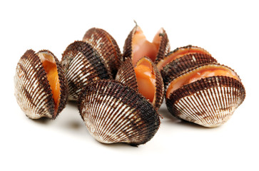 Fresh raw sea cockles clams