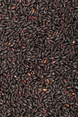 Black rice