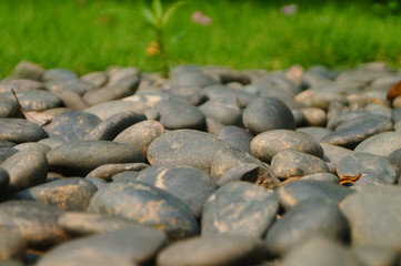 Cobblestone landscape