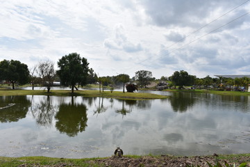 M&eacute;xico hermoso, San Marcos Aguascalientes