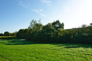 Green meadow next to a railway embankment, lined with bushes, in the background a corn field and a dirt road, southeast of Munich