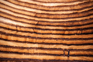 abstract wooden background