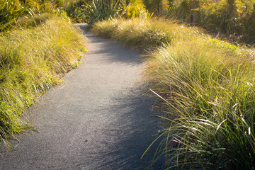 Concrete Path Through the Grass in a Park on a Sunny Afternoon