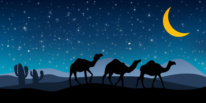 Landscape with camel silhouette at night