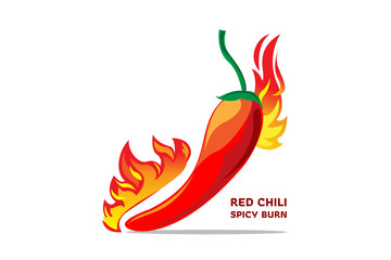 Drawing vector style of red chili with flame to show how spicy of hot ingredient for cooking, best for logo and arrange composition in graphic design. editable by layers.