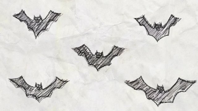 Bats Sketch in Pencil Drawing Style