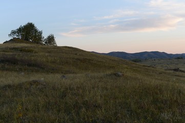 Obraz premium An evening in the Altai mountains near the Charysh River. Western Siberia