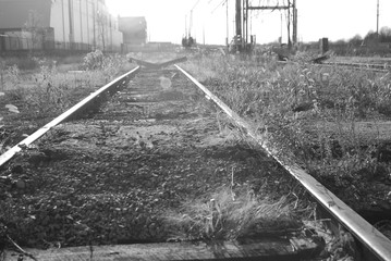 railroad tracks in the field