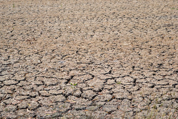 The fields are dry  the land is broken dry cracked brown earth background