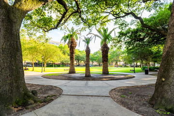 City Washington Square park on Elysian Fields Avenue and Dauphine street with three large palm...