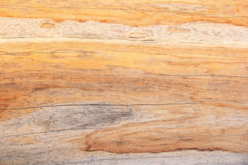 brown  wood closeup texture or background.