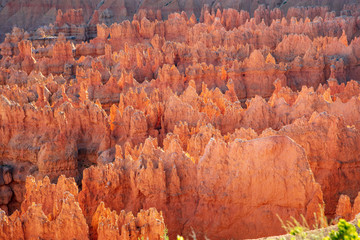 The spectacle of thousands of glowing orange earthen spires concentrated in the valley below the...