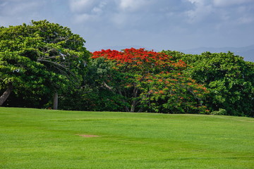 サン・ファン歴史地区
