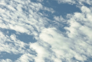 Obraz premium 秋空の澄んだ晴天の青空に映える雲海