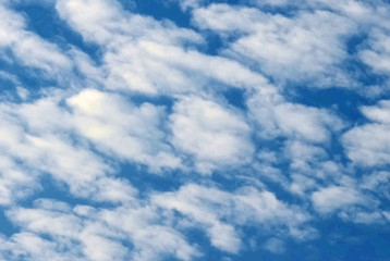 秋空の澄んだ晴天の青空に映える雲海