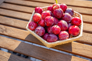 Plum good harvest