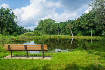 Fototapeta na wymiar Bench overlooking pond