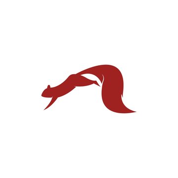 squirrel logo vector icon illustration design