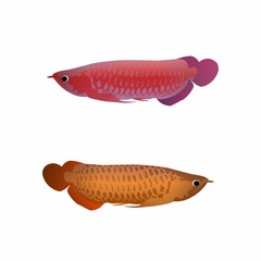 Fish Icon, Cute Cartoon Funny Character with Colorful Color, Swim in Water – Flat Design 