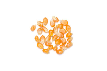 Dry corn kernels on white table with white space for  take text.