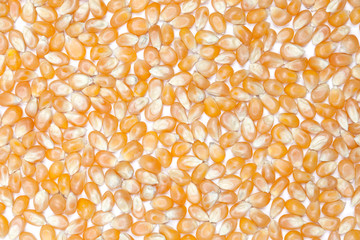 Surface of dry corn kernels on white table for background.