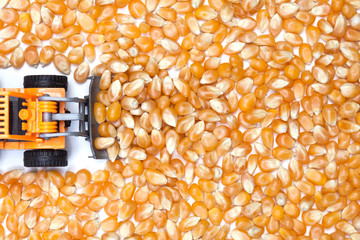 Surface of dry corn kernels on white table with small tractor.