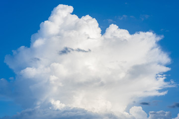 The sky has a large cumulus.