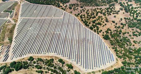 Aerial view of a huge farm of solar panels (solar cell) under the sunlight. There is the reflection of the sun in the the panels which produce renewable energy, solar energy - environment and renewabl