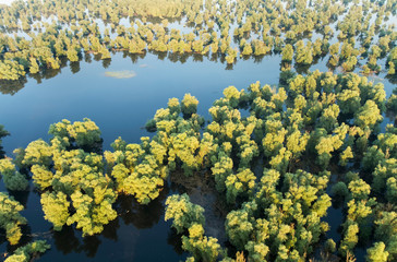 Flood in Kopacki rit Nature Park, Croatia