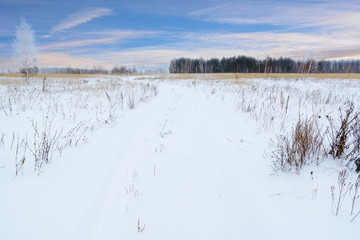 Winter landscape. Snowy field, trees and beautiful blue sky. Winter panorama.